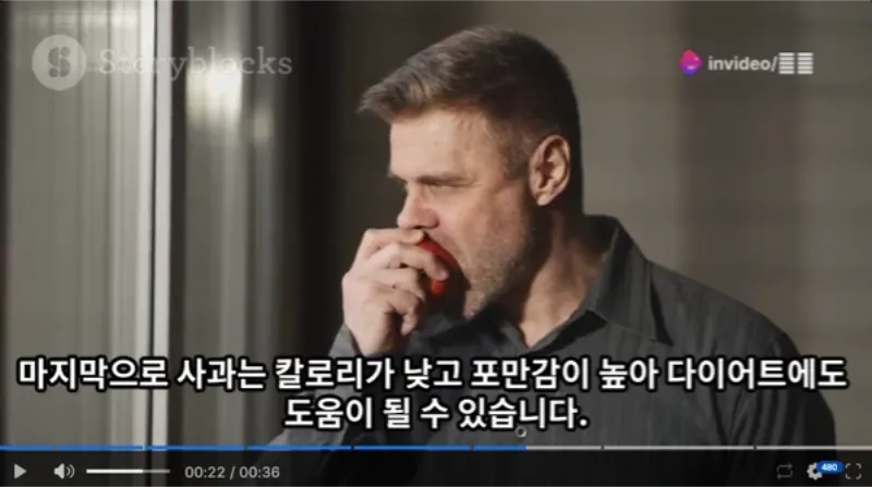 자동 영상 생성 Invideo AI 사용 방법-7-1