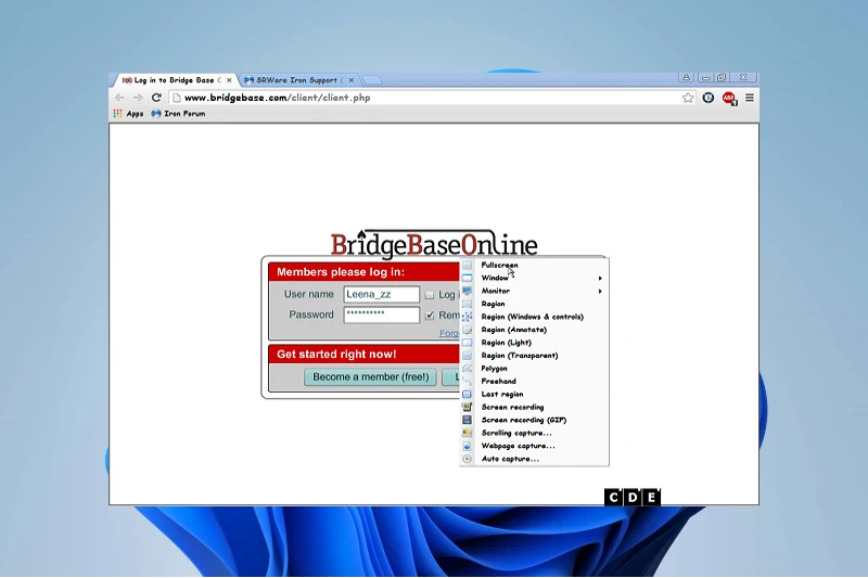 SRWare Iron 광고 차단 기능