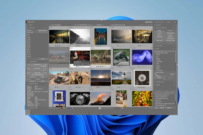 Darktable 사진 카탈로그 관리