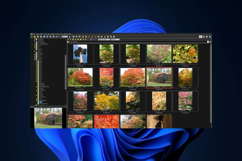 FastStone Image Viewer 전체화면 슬라이드쇼