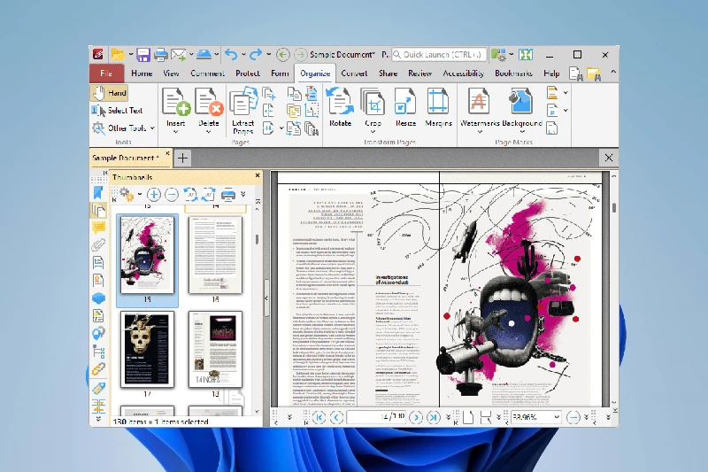PDF-XChange Editor 텍스트 및 이미지 편집