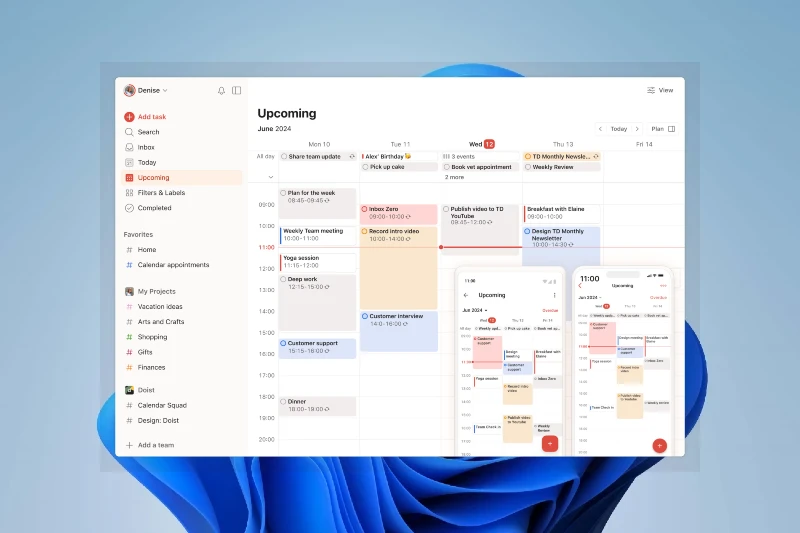 Todoist 프로젝트별 작업 정리