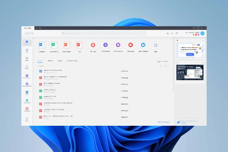 WPS Office 오피스 통합 관리