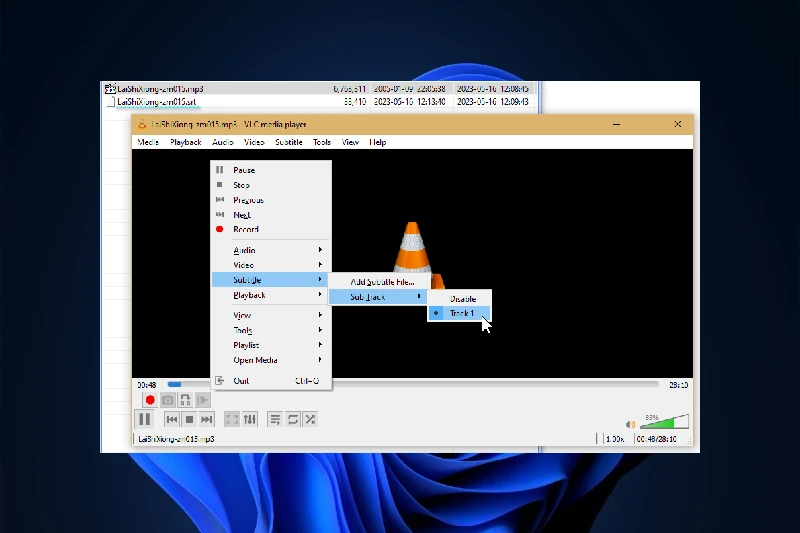VLC 플레이어 자막 자동 인식
