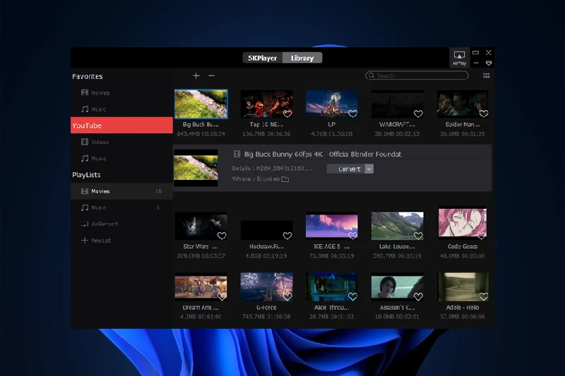 5KPlayer 유튜브 영상 다운로드