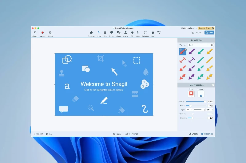 Snagit 정밀한 화면 캡처 옵션
