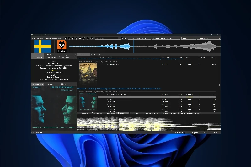 Foobar2000 고급 오디오 형식 지원