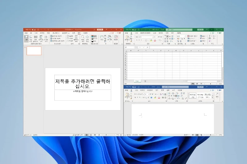 MS 오피스 2024 높은 신뢰도의 문서 포맷