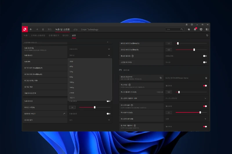 라데온 드라이버 녹화 및 스트리밍 기능