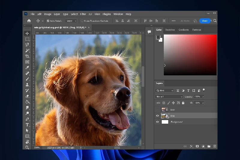 어도비 포토샵 RAW 이미지 편집