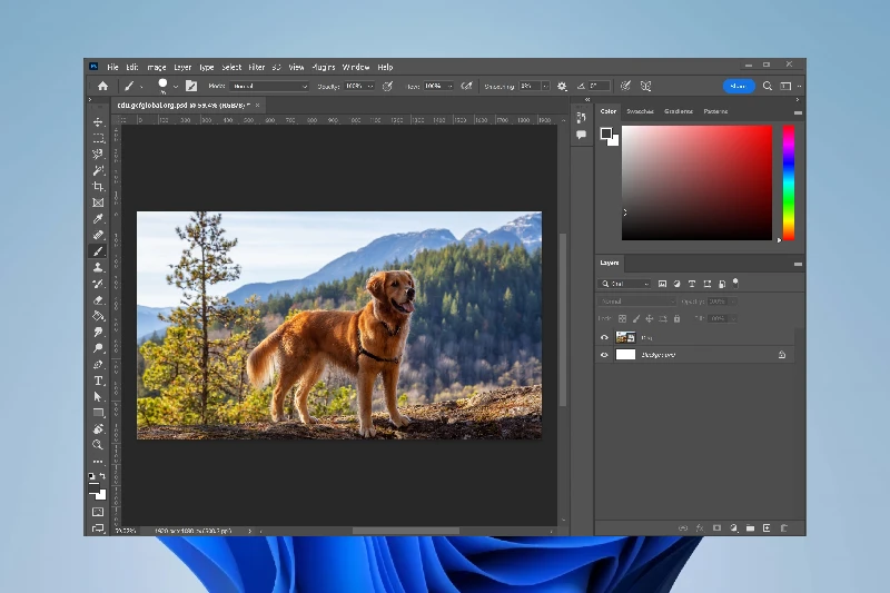 어도비 포토샵 정교한 콘텐츠 인식 지우기