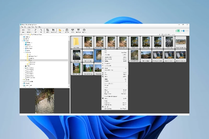 포커스온 이미지 뷰어 사진 자동 분류 시스템