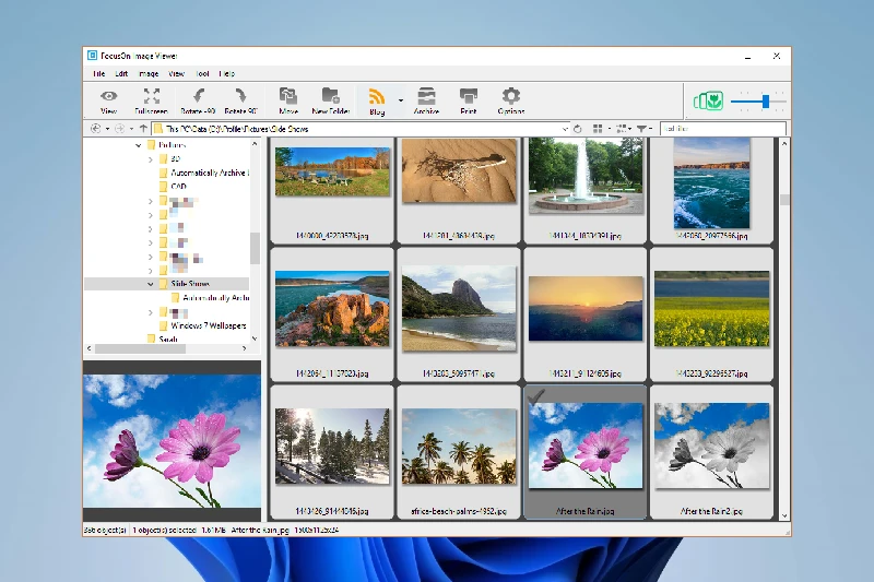 포커스온 이미지 뷰어 빠른 이미지 뷰어