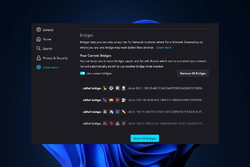 토르 브라우저 HTTPS 연결 자동 적용