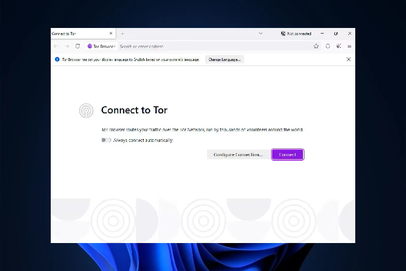 토르 브라우저 오니언 라우팅 기술 기반 높은 익명성