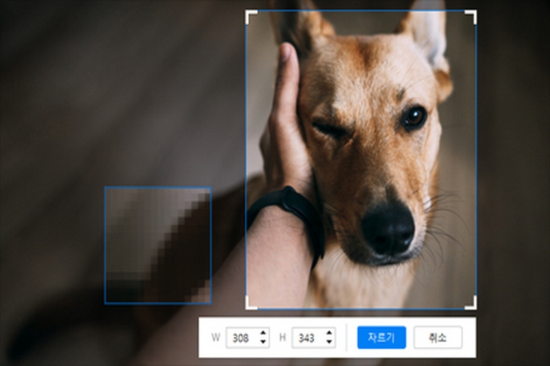 화면 캡쳐 프로그램 추천 알캡쳐