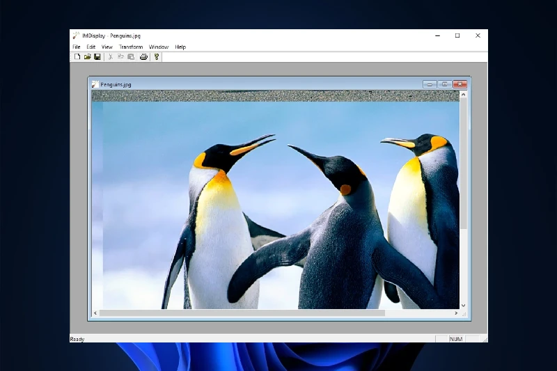 ImageMagick 다양한 포맷 변환 지원