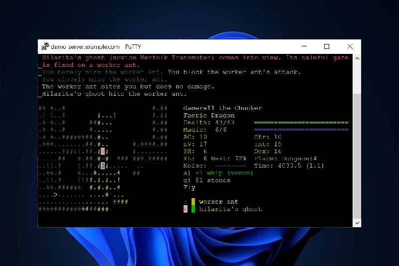 PuTTY 다양한 프로토콜 접속 지원