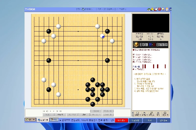 타이젬바둑 실시간 온라인 대국