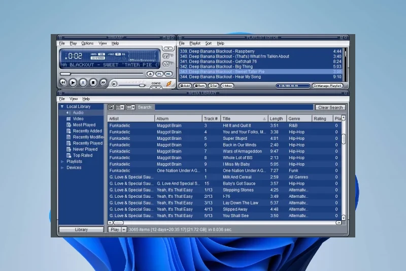 Winamp 다양한 오디오 포맷 지원