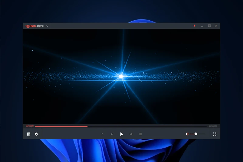 1그램 플레이어 가벼운 동영상 플레이어