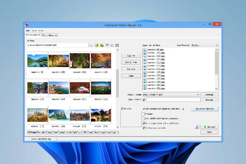 FastStone Photo Resizer 이미지 일괄 포맷 변환 및 리사이징