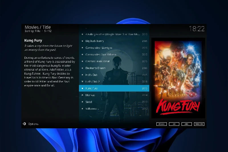 Kodi 애드온 확장 기능 지원