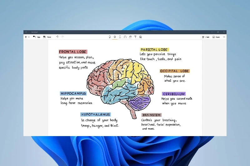 노트쉘프 손글씨 메모 및 드로잉
