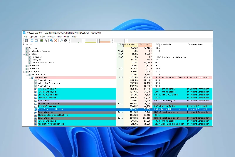 Process Explorer 실시간 프로세스 정보 분석