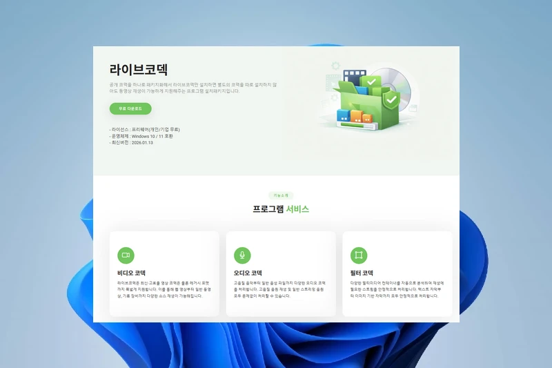 라이브코덱 통합 동영상 코덱 지원